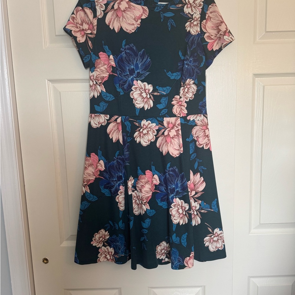 Eliza J Teal and Pink Floral Dress